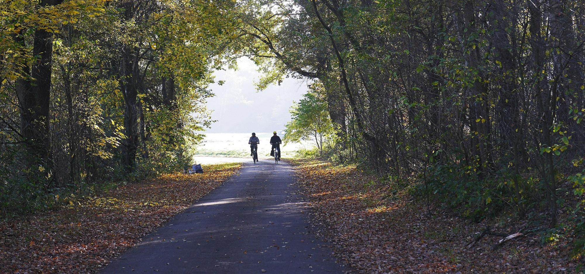Waldweg mit hohen Bäumen, bedeckt von Laub, zwei Fahrradfahrer in Richtung eines lichten Endes – ruhige, friedliche Szenerie.