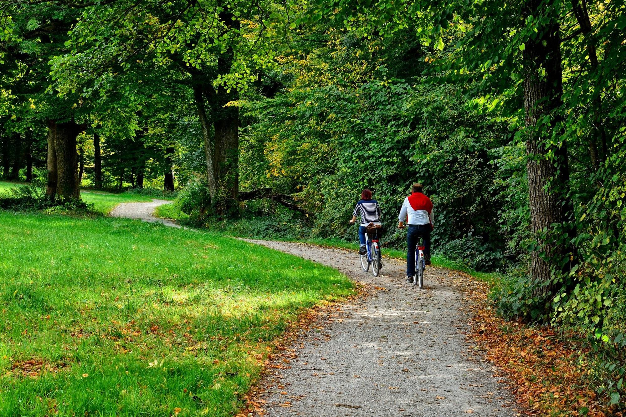 Radfahrer auf gepflastertem Weg durch grünen Wald, umgeben von hohen Bäumen und dichter Vegetation in ruhiger Naturkulisse.